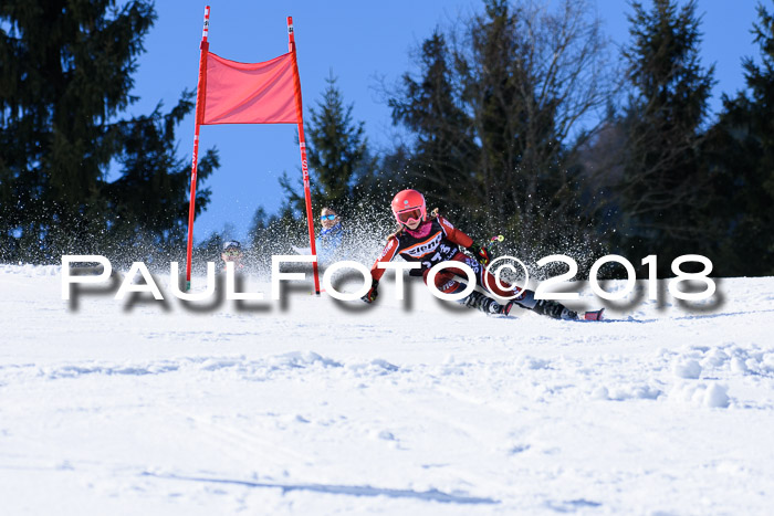 5. WF Ziener Cup + WFM, Steckenberg, 04.03.2018