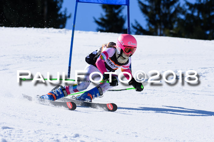 5. WF Ziener Cup + WFM, Steckenberg, 04.03.2018