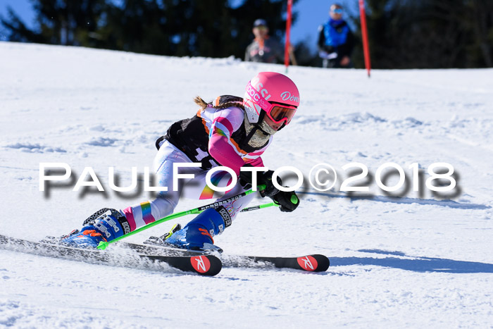 5. WF Ziener Cup + WFM, Steckenberg, 04.03.2018