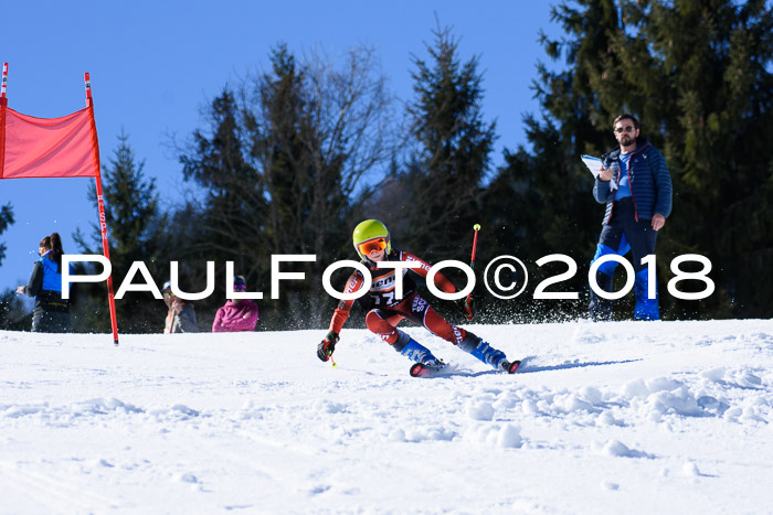 5. WF Ziener Cup + WFM, Steckenberg, 04.03.2018