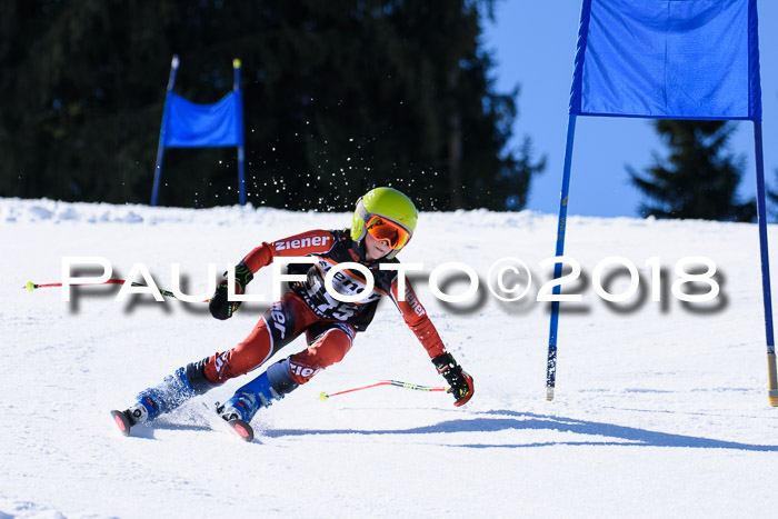 5. WF Ziener Cup + WFM, Steckenberg, 04.03.2018