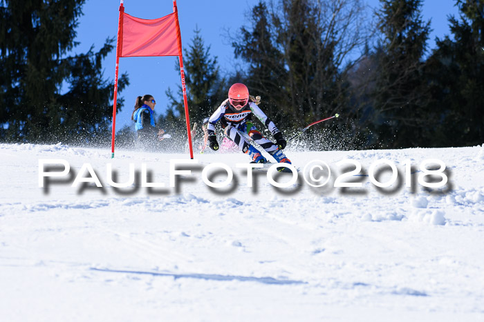 5. WF Ziener Cup + WFM, Steckenberg, 04.03.2018
