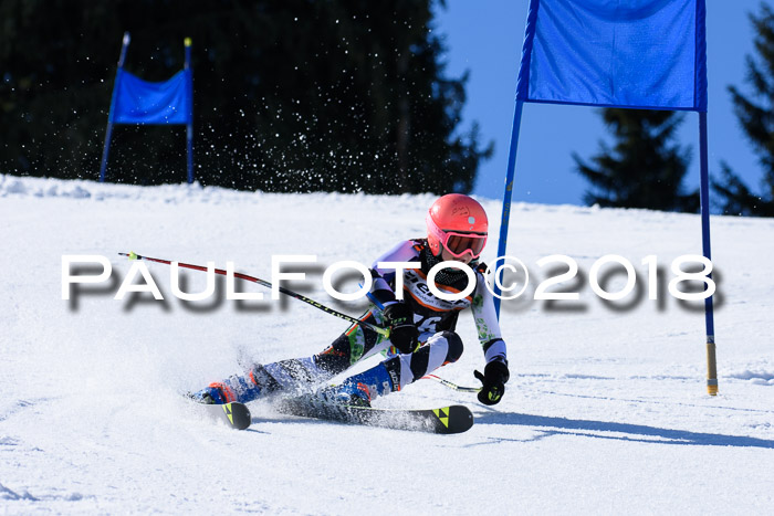 5. WF Ziener Cup + WFM, Steckenberg, 04.03.2018