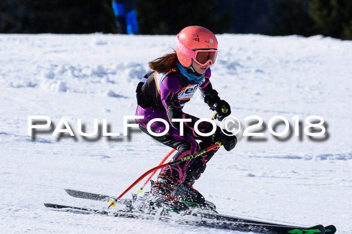 5. WF Ziener Cup + WFM, Steckenberg, 04.03.2018
