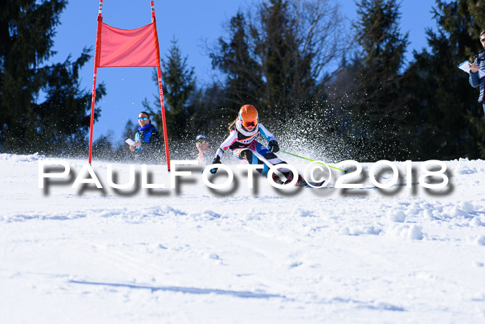 5. WF Ziener Cup + WFM, Steckenberg, 04.03.2018