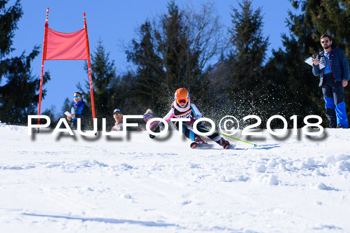 5. WF Ziener Cup + WFM, Steckenberg, 04.03.2018
