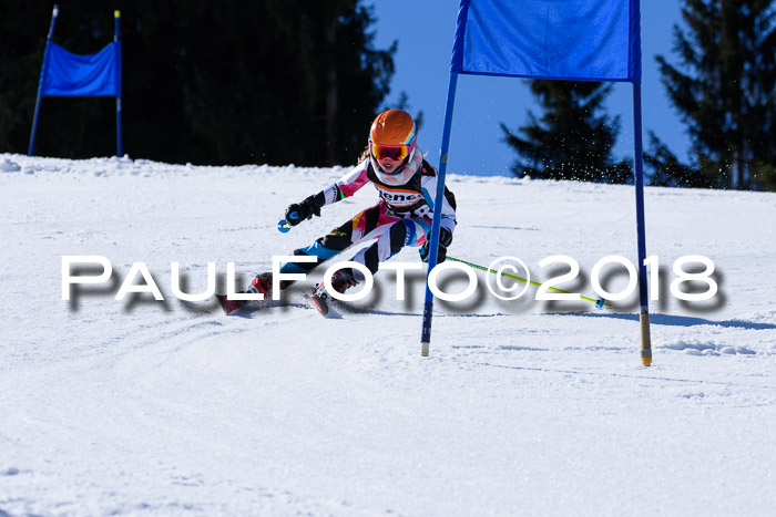 5. WF Ziener Cup + WFM, Steckenberg, 04.03.2018