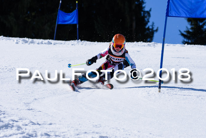 5. WF Ziener Cup + WFM, Steckenberg, 04.03.2018