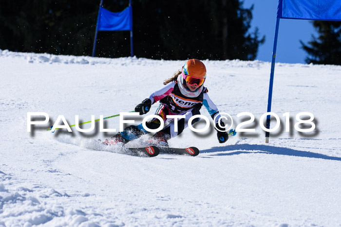 5. WF Ziener Cup + WFM, Steckenberg, 04.03.2018