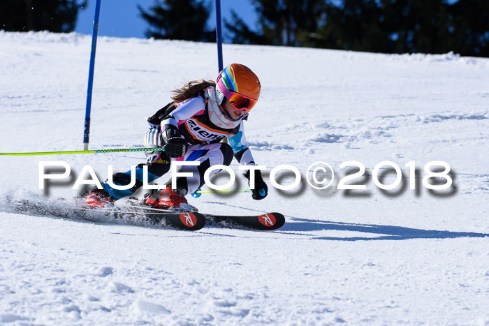 5. WF Ziener Cup + WFM, Steckenberg, 04.03.2018