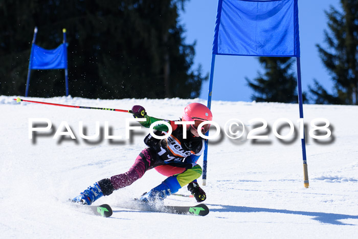 5. WF Ziener Cup + WFM, Steckenberg, 04.03.2018