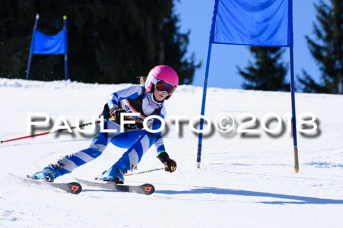 5. WF Ziener Cup + WFM, Steckenberg, 04.03.2018