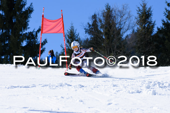 5. WF Ziener Cup + WFM, Steckenberg, 04.03.2018