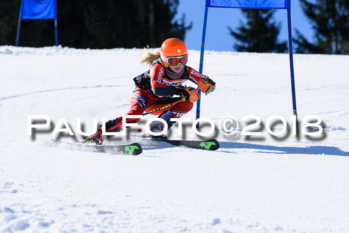 5. WF Ziener Cup + WFM, Steckenberg, 04.03.2018