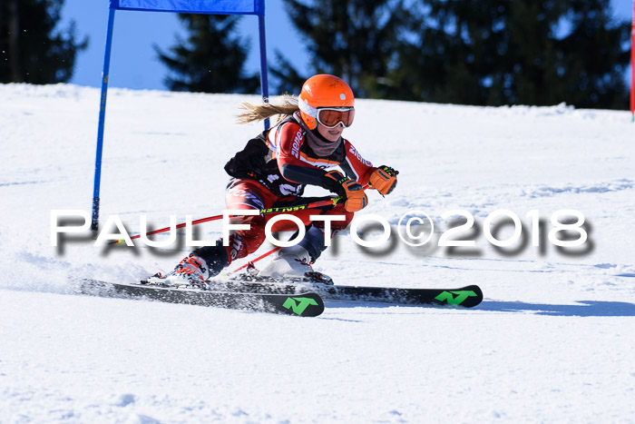 5. WF Ziener Cup + WFM, Steckenberg, 04.03.2018