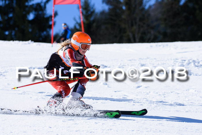 5. WF Ziener Cup + WFM, Steckenberg, 04.03.2018