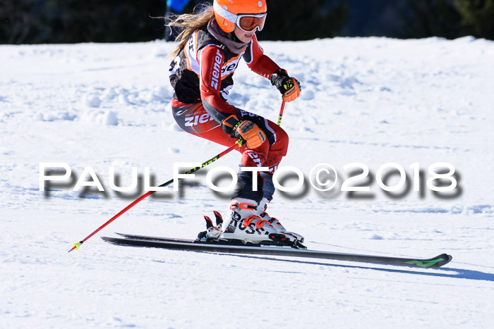 5. WF Ziener Cup + WFM, Steckenberg, 04.03.2018
