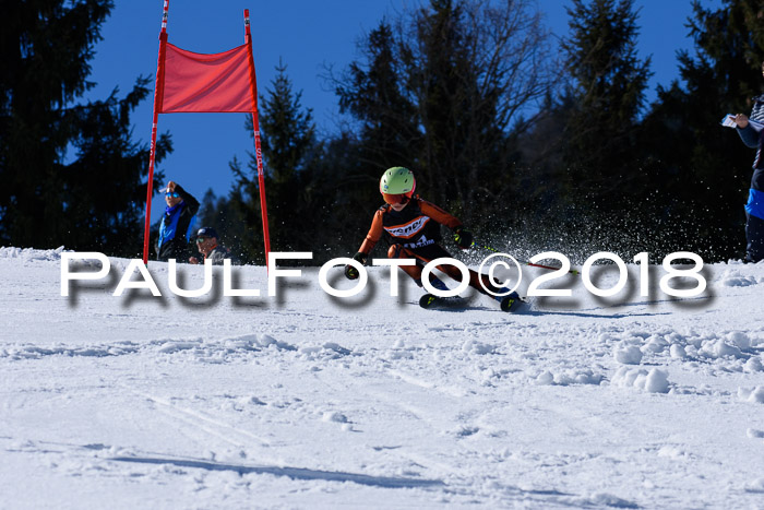 5. WF Ziener Cup + WFM, Steckenberg, 04.03.2018
