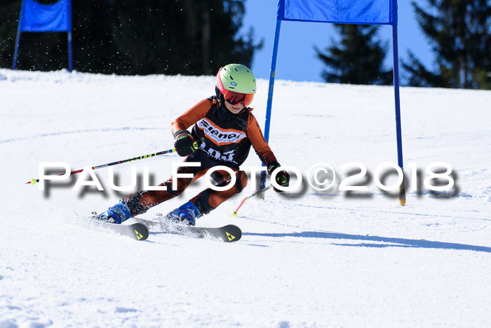 5. WF Ziener Cup + WFM, Steckenberg, 04.03.2018