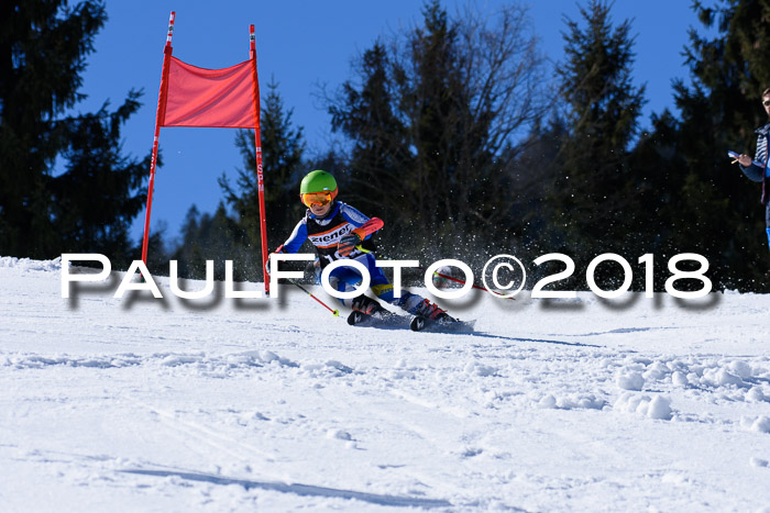 5. WF Ziener Cup + WFM, Steckenberg, 04.03.2018