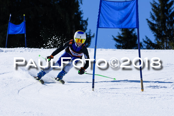 5. WF Ziener Cup + WFM, Steckenberg, 04.03.2018
