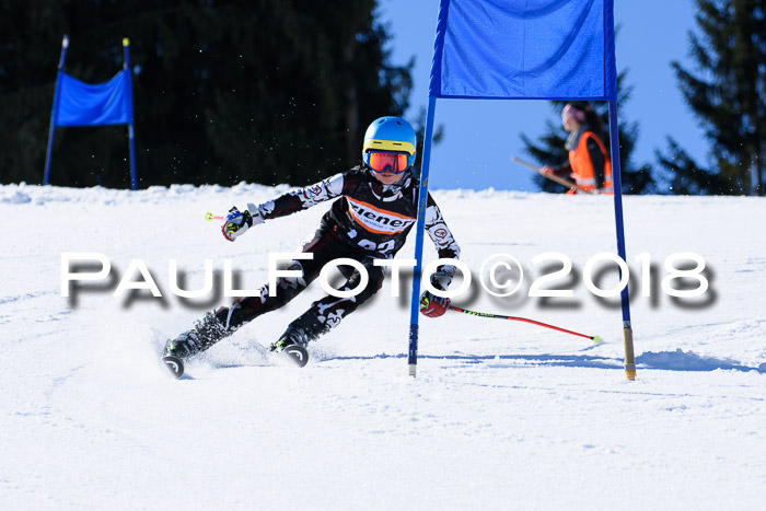 5. WF Ziener Cup + WFM, Steckenberg, 04.03.2018