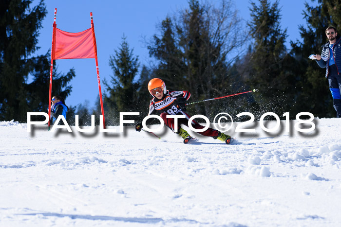 5. WF Ziener Cup + WFM, Steckenberg, 04.03.2018