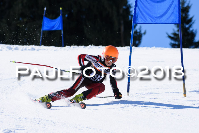 5. WF Ziener Cup + WFM, Steckenberg, 04.03.2018