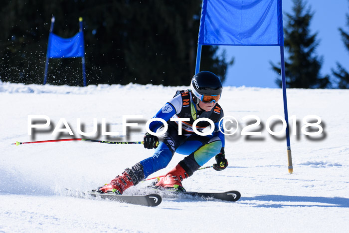 5. WF Ziener Cup + WFM, Steckenberg, 04.03.2018
