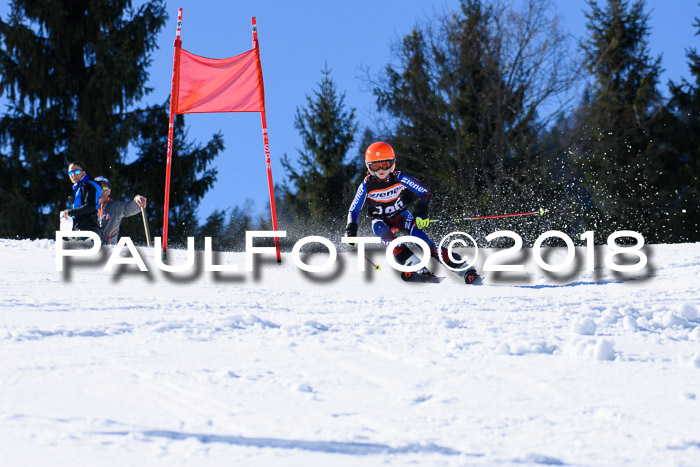 5. WF Ziener Cup + WFM, Steckenberg, 04.03.2018