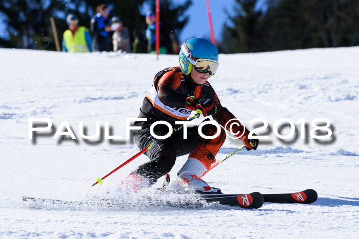 5. WF Ziener Cup + WFM, Steckenberg, 04.03.2018