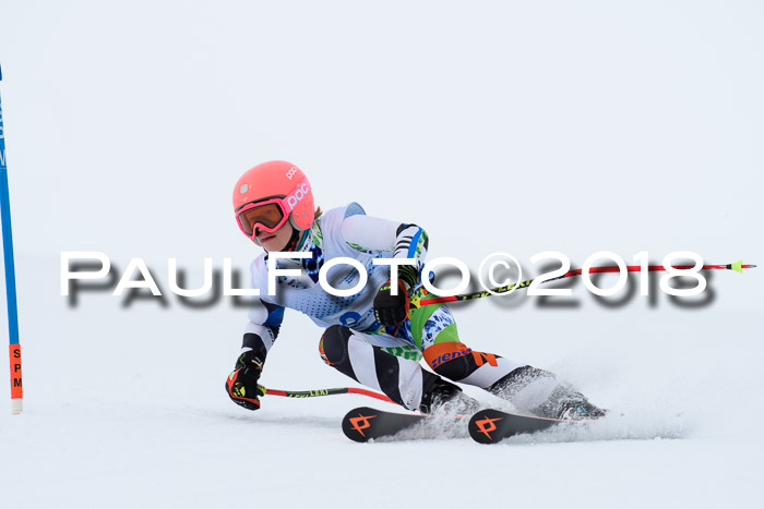 SVM Sechzger Pokal, 10.03.2018