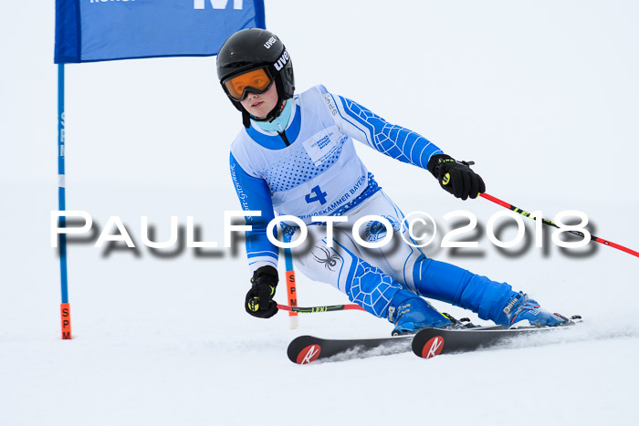 SVM Sechzger Pokal, 10.03.2018