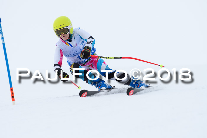 SVM Sechzger Pokal, 10.03.2018
