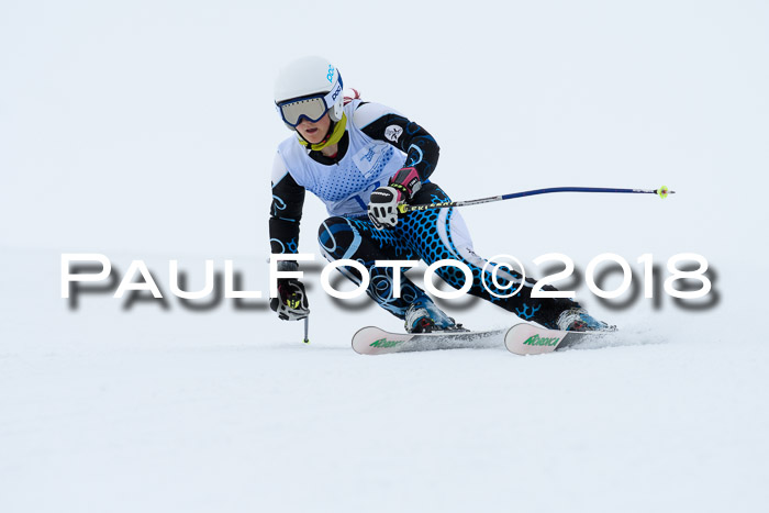 SVM Sechzger Pokal, 10.03.2018