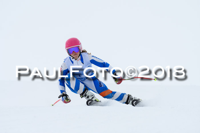 SVM Sechzger Pokal, 10.03.2018