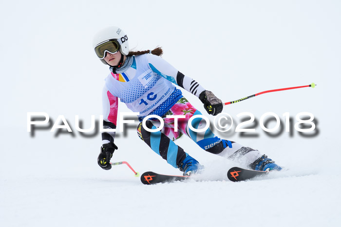 SVM Sechzger Pokal, 10.03.2018
