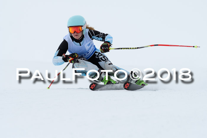 SVM Sechzger Pokal, 10.03.2018