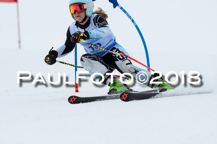 SVM Sechzger Pokal, 10.03.2018