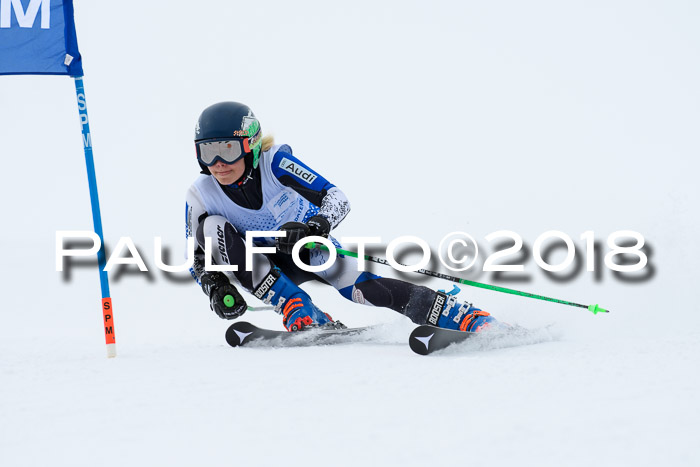 SVM Sechzger Pokal, 10.03.2018