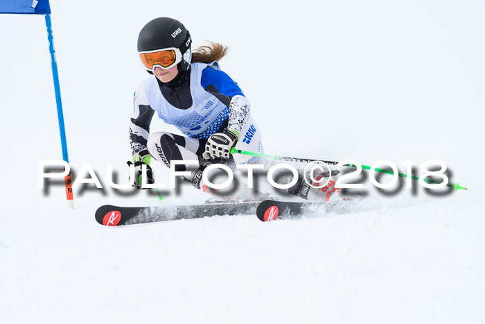 SVM Sechzger Pokal, 10.03.2018