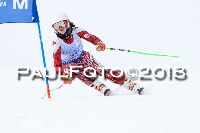 SVM Sechzger Pokal, 10.03.2018