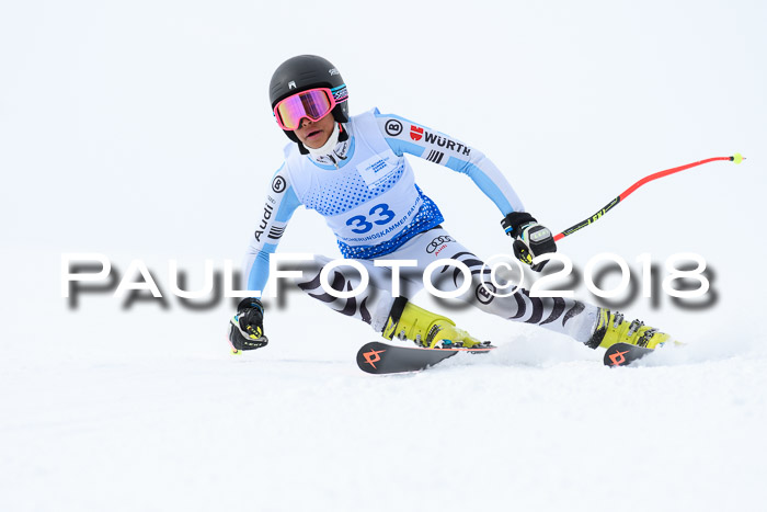 SVM Sechzger Pokal, 10.03.2018