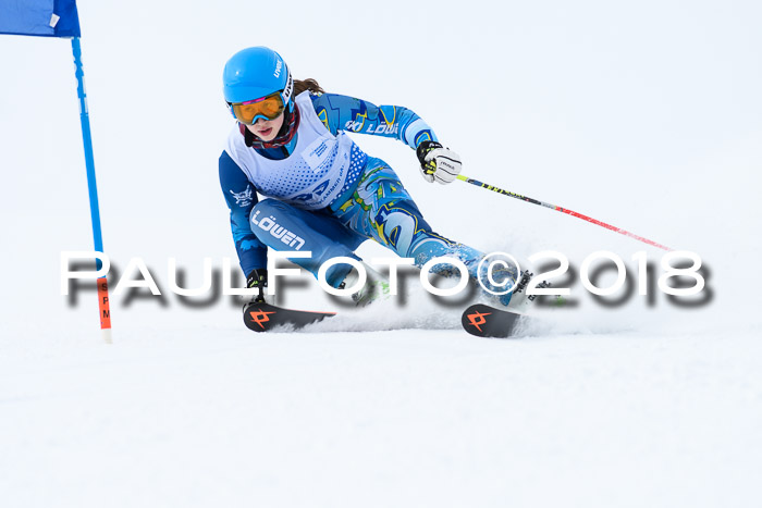 SVM Sechzger Pokal, 10.03.2018