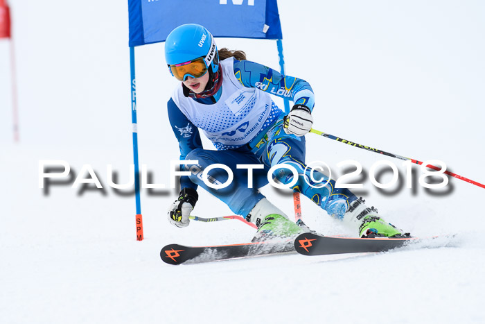 SVM Sechzger Pokal, 10.03.2018