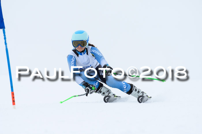 SVM Sechzger Pokal, 10.03.2018