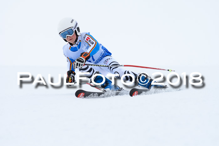 SVM Sechzger Pokal, 10.03.2018