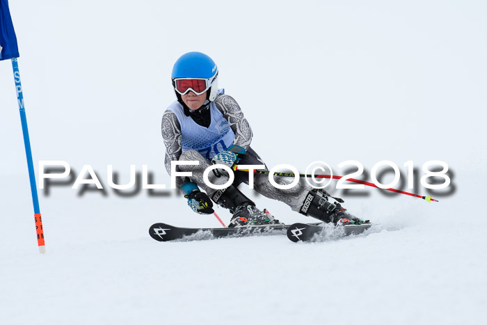 SVM Sechzger Pokal, 10.03.2018