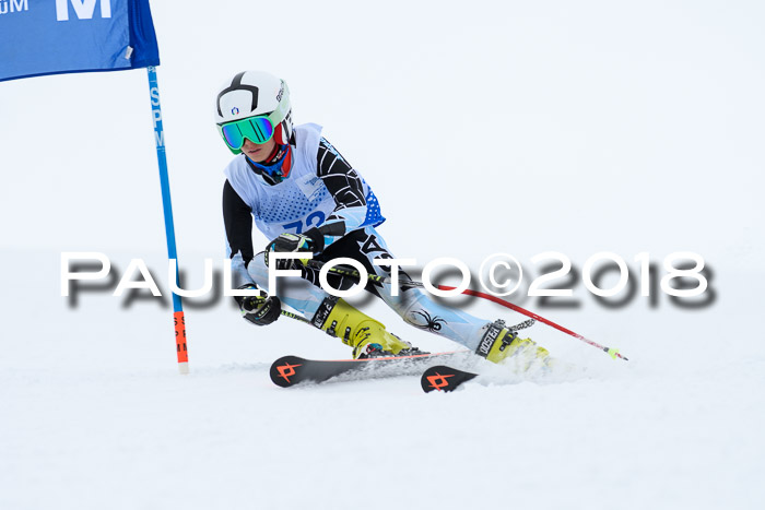 SVM Sechzger Pokal, 10.03.2018