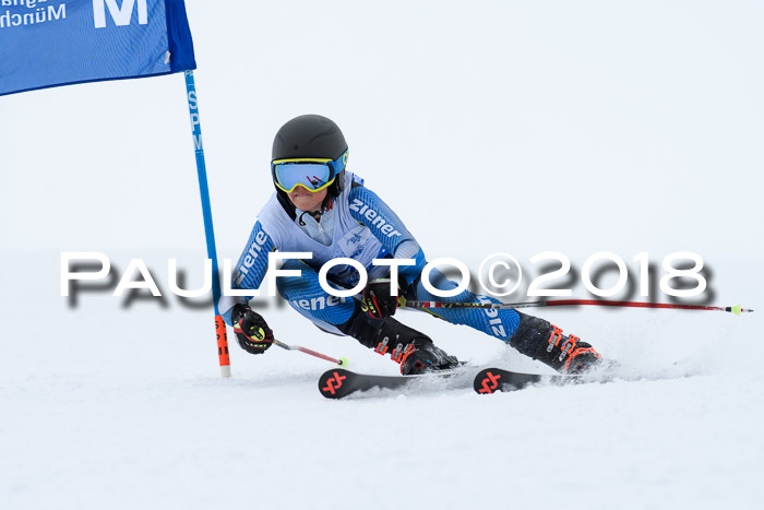 SVM Sechzger Pokal, 10.03.2018